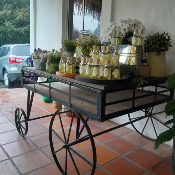 La Finca del Mono - destacada